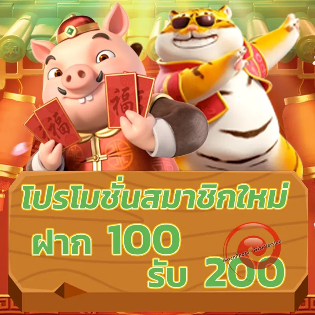 MaxMo-168 ทำเงินง่าย